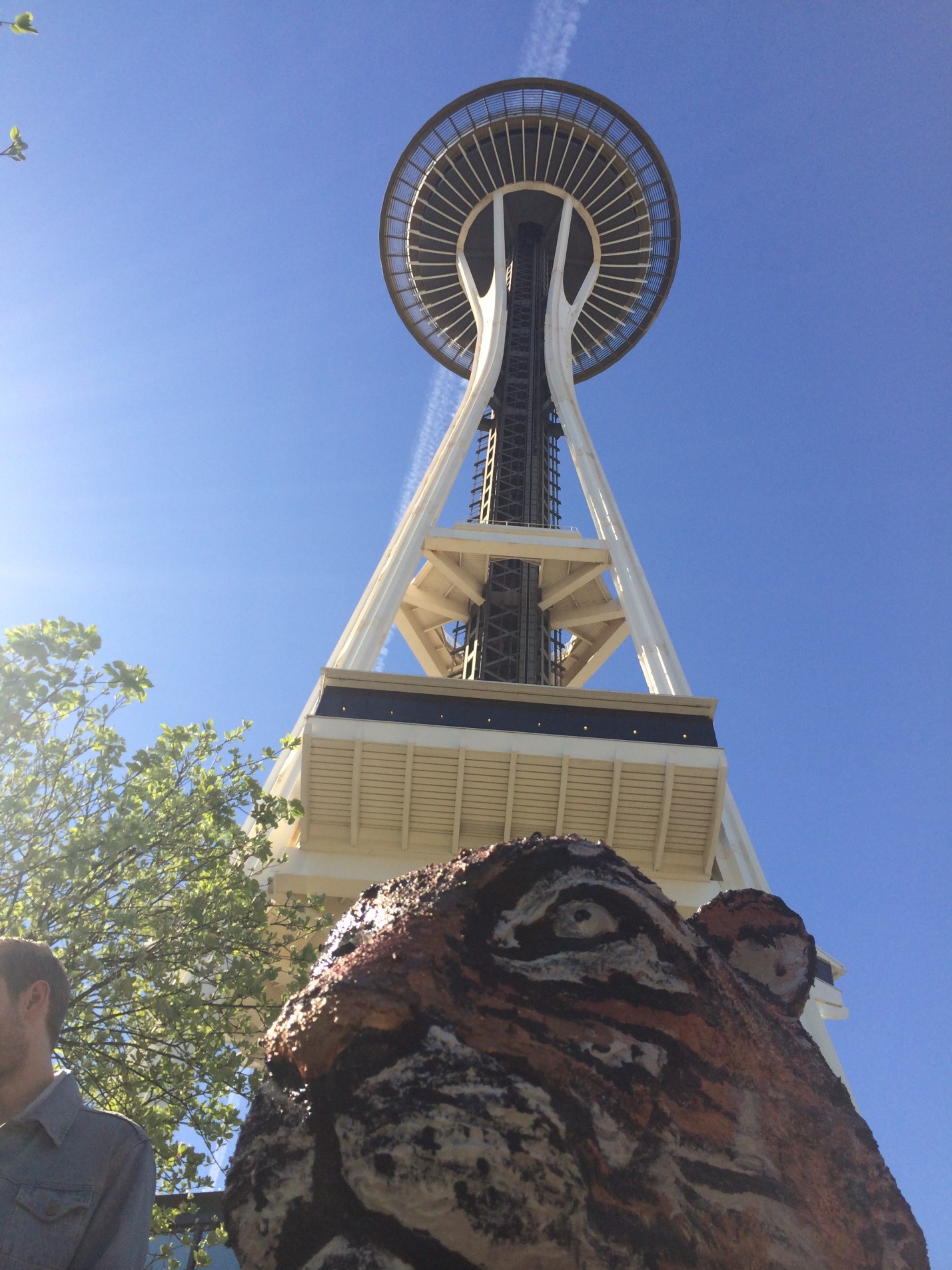 ABOVE & BELOW: Eye of the Tiger: Jungle Party Co-Chairs assemble at the Space Needle to kick off the tiger tour in support of the 39th annual event